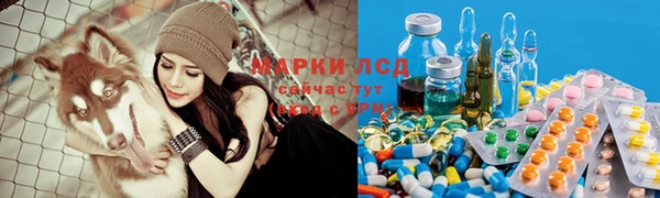spice Дмитровск