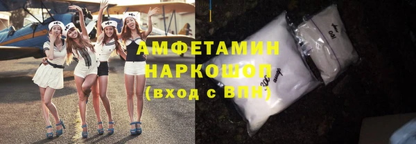 сатива Дмитриев