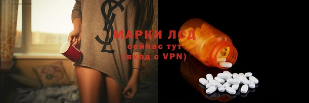 сатива Дмитриев
