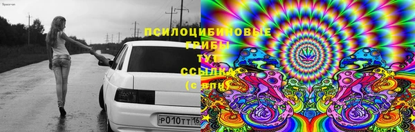 spice Дмитровск