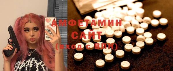 сатива Дмитриев