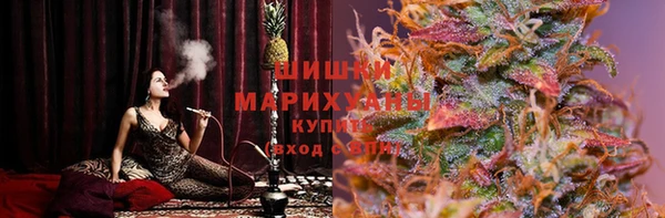 сатива Дмитриев
